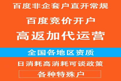 百度优化推广案例剖析：某电商平台的成功之路